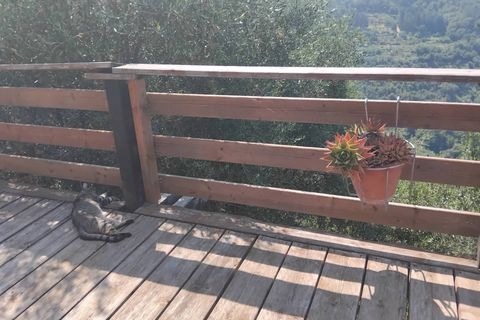 Villa a Perinaldo, Imperia, Perinaldo - € 330.000 | Ref: 1123 - foto 26