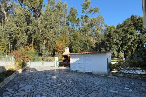 Byhus i Carregal do Sal, Viseu, Carregal do Sal - € 250.000 | Ref: SALI0267 - foto 45