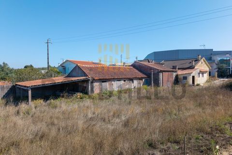 Villa i Alcobaca, Leiria, Alcobaca - € 280.000 | Ref: CAS_790_NC - foto 27