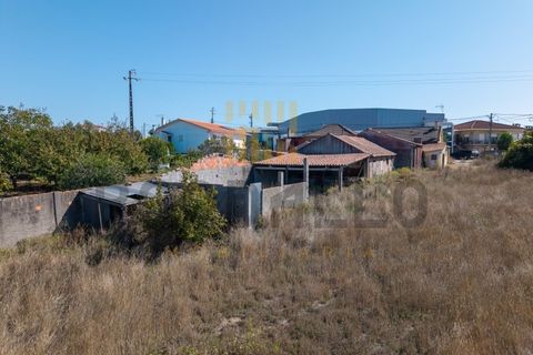 Villa i Alcobaca, Leiria, Alcobaca - € 280.000 | Ref: CAS_790_NC - foto 28