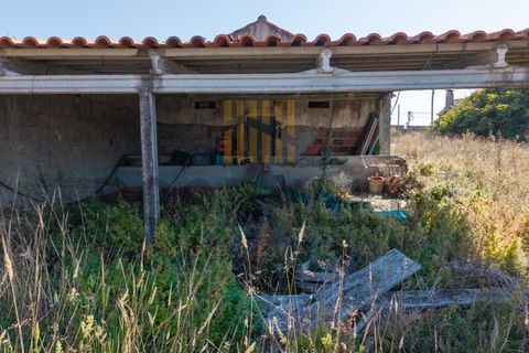 Villa i Alcobaca, Leiria, Alcobaca - € 280.000 | Ref: CAS_790_NC - foto 31