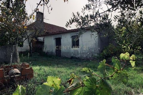 Villa i Pombal, Leiria, Pombal - € 39.000 | Ref: C0381-00304 - foto 3