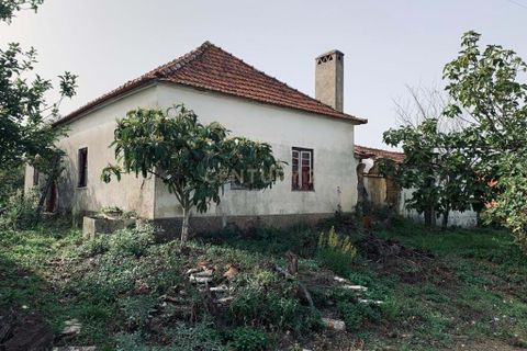 Villa i Pombal, Leiria, Pombal - € 39.000 | Ref: C0381-00304 - foto 5
