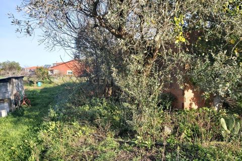 Villa i Pombal, Leiria, Pombal - € 39.000 | Ref: C0381-00304 - foto 9