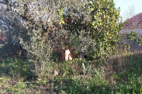 Villa i Pombal, Leiria, Pombal - € 39.000 | Ref: C0381-00304 - foto 15