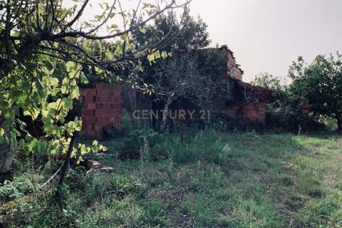 Villa i Pombal, Leiria, Pombal - € 39.000 | Ref: C0381-00304 - foto 16