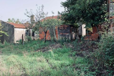 Villa i Pombal, Leiria, Pombal - € 39.000 | Ref: C0381-00304 - foto 17