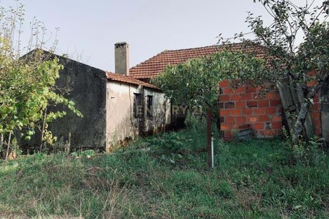 Villa i Pombal, Leiria, Pombal - € 39.000 | Ref: C0381-00304 - foto 18