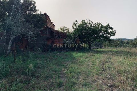 Villa i Pombal, Leiria, Pombal - € 39.000 | Ref: C0381-00304 - foto 19