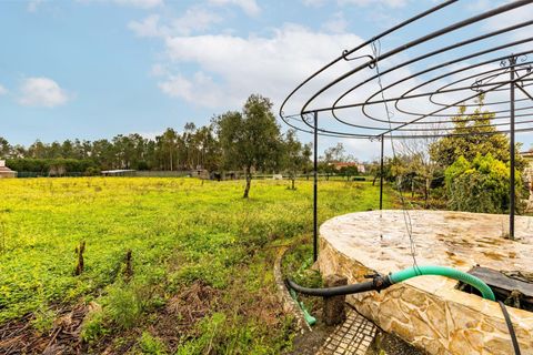 Villa i Pombal, Leiria, Pombal - € 350.000 | Ref: C0381-00863 - foto 10