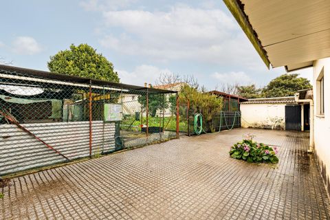 Villa i Pombal, Leiria, Pombal - € 350.000 | Ref: C0381-00863 - foto 12