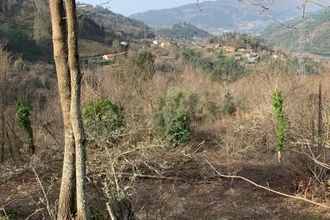 Helårsgrund i Paredes, Porto, Paredes - € 150.000 | Ref: C0256-01735 - foto 6