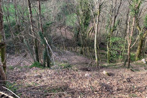 Helårsgrund i Paredes, Porto, Paredes - € 150.000 | Ref: C0256-01735 - foto 16