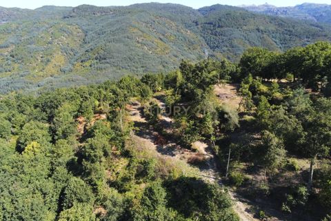 Helårsgrund i Paredes, Porto, Paredes - € 150.000 | Ref: C0256-01735 - foto 18