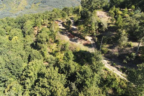 Helårsgrund i Paredes, Porto, Paredes - € 150.000 | Ref: C0256-01735 - foto 19