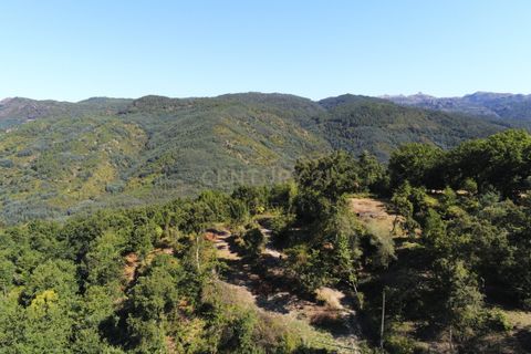 Helårsgrund i Paredes, Porto, Paredes - € 150.000 | Ref: C0256-01735 - foto 20