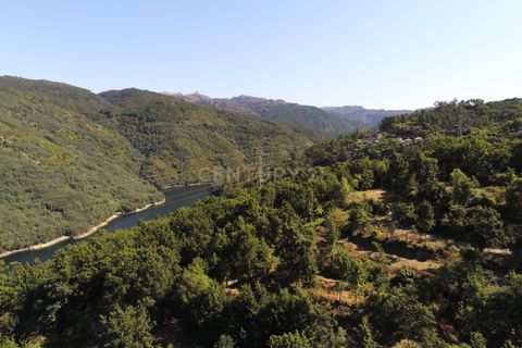 Helårsgrund i Paredes, Porto, Paredes - € 150.000 | Ref: C0256-01735 - foto 21