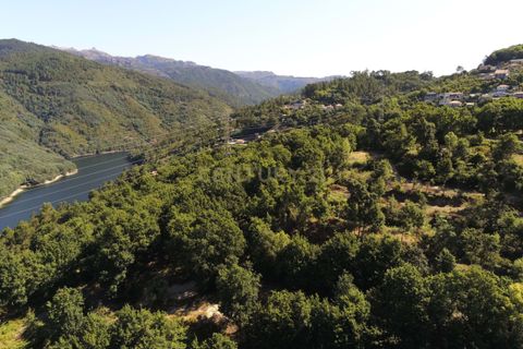 Helårsgrund i Paredes, Porto, Paredes - € 150.000 | Ref: C0256-01735 - foto 22