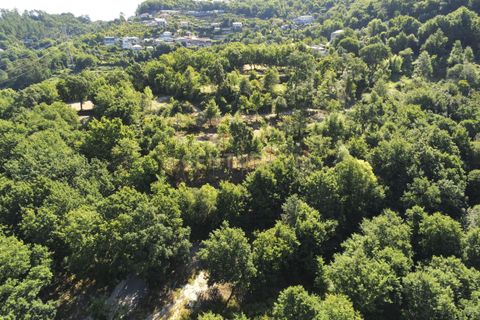 Helårsgrund i Paredes, Porto, Paredes - € 150.000 | Ref: C0256-01735 - foto 23