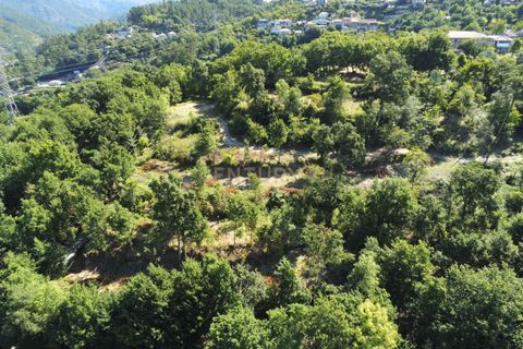 Helårsgrund i Paredes, Porto, Paredes - € 150.000 | Ref: C0256-01735 - foto 25