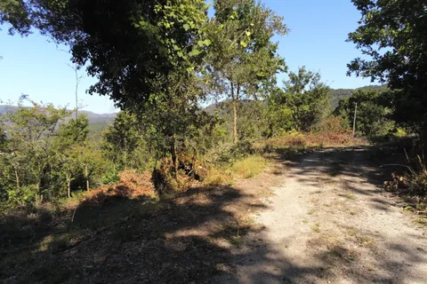 Helårsgrund i Paredes, Porto, Paredes - € 150.000 | Ref: C0256-01735 - foto 26