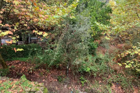 Villa i Parada do Bouro, Braga, Parada do Bouro - € 39.500 | Ref: C0256-02468 - foto 12