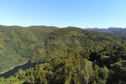Villa i Paredes, Porto, Paredes - € 1.500.000 | Ref: C0256-02534 - foto 10