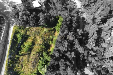 Villa i Paredes, Porto, Paredes - € 1.500.000 | Ref: C0256-02534 - foto 17