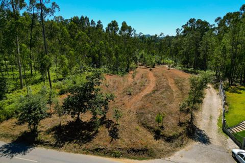 Helårsgrund i Ponte de Lima, Viana do Castelo, Ponte de Lima - € 35.000 | Ref: C0256-03039 - foto 3