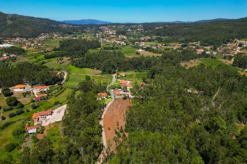 Helårsgrund i Ponte de Lima, Viana do Castelo, Ponte de Lima - € 35.000 | Ref: C0256-03039 - foto 5