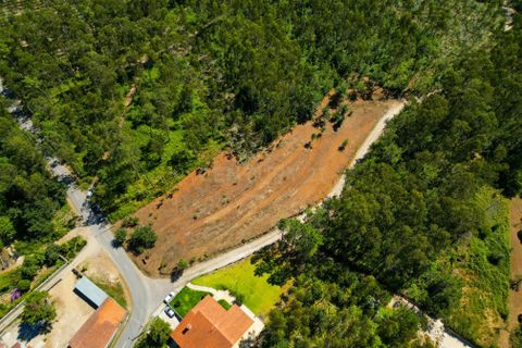 Helårsgrund i Ponte de Lima, Viana do Castelo, Ponte de Lima - € 35.000 | Ref: C0256-03039 - foto 6