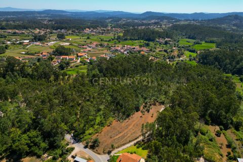 Helårsgrund i Ponte de Lima, Viana do Castelo, Ponte de Lima - € 35.000 | Ref: C0256-03039 - foto 7