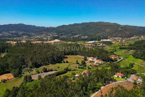 Helårsgrund i Ponte de Lima, Viana do Castelo, Ponte de Lima - € 35.000 | Ref: C0256-03039 - foto 8