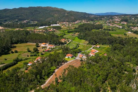 Helårsgrund i Ponte de Lima, Viana do Castelo, Ponte de Lima - € 35.000 | Ref: C0256-03039 - foto 9