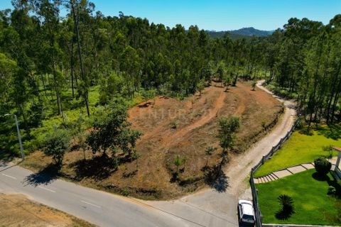 Helårsgrund i Ponte de Lima, Viana do Castelo, Ponte de Lima - € 35.000 | Ref: C0256-03039 - foto 10
