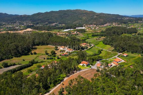 Helårsgrund i Ponte de Lima, Viana do Castelo, Ponte de Lima - € 35.000 | Ref: C0256-03039 - foto 11