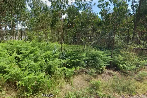 Helårsgrund i Vila Verde, Braga, Vila Verde - € 300.000 | Ref: C0256-03056 - foto 4