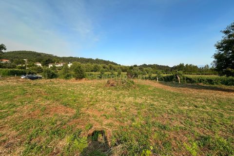 Helårsgrund i Vila Verde, Braga, Vila Verde - € 40.000 | Ref: C0256-03057 - foto 7