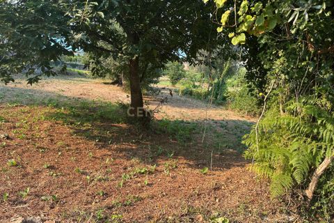 Helårsgrund i Vila Verde, Braga, Vila Verde - € 40.000 | Ref: C0256-03057 - foto 13