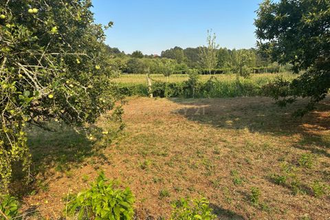 Helårsgrund i Vila Verde, Braga, Vila Verde - € 40.000 | Ref: C0256-03057 - foto 17