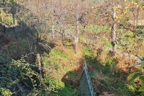Villa i Vila Verde, Braga, Vila Verde - € 192.000 | Ref: C0256-03117 - foto 24
