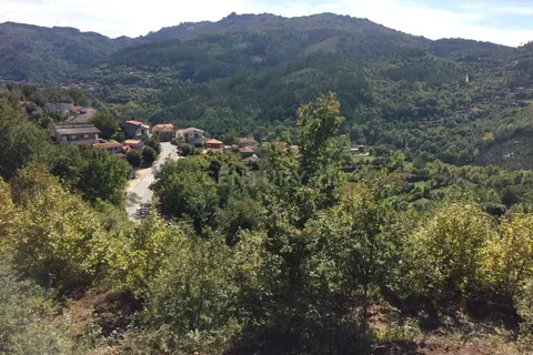 Terra a Parada do Bouro, Braga, Parada do Bouro - € 49.000 | Ref: C0256-03179 - foto 4