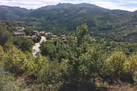 Terra a Parada do Bouro, Braga, Parada do Bouro - € 49.000 | Ref: C0256-03179 - foto 6