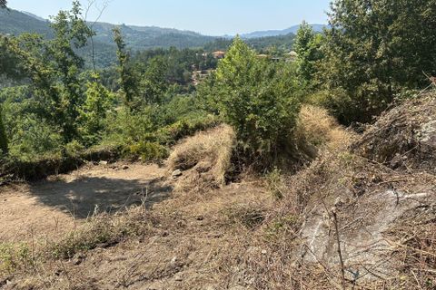 Terra a Parada do Bouro, Braga, Parada do Bouro - € 49.000 | Ref: C0256-03179 - foto 10