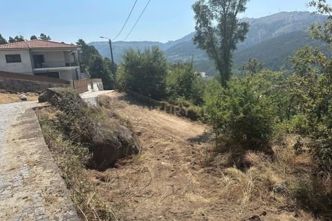 Terra a Parada do Bouro, Braga, Parada do Bouro - € 49.000 | Ref: C0256-03179 - foto 11