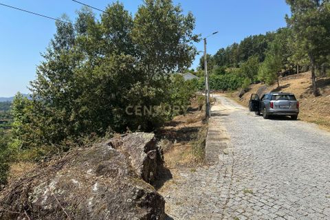 Terra a Parada do Bouro, Braga, Parada do Bouro - € 49.000 | Ref: C0256-03179 - foto 15