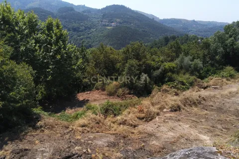Terra a Parada do Bouro, Braga, Parada do Bouro - € 49.000 | Ref: C0256-03179 - foto 21