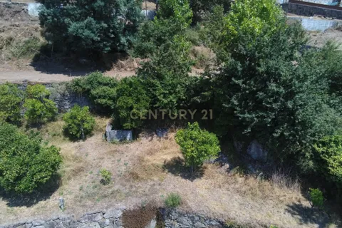 Terra a Parada do Bouro, Braga, Parada do Bouro - € 49.000 | Ref: C0256-03179 - foto 29