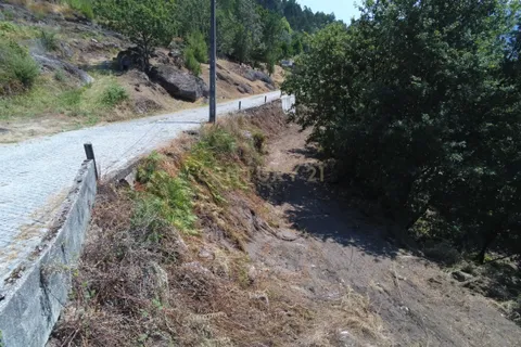 Terra a Parada do Bouro, Braga, Parada do Bouro - € 49.000 | Ref: C0256-03179 - foto 32
