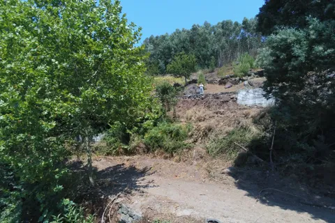 Terra a Parada do Bouro, Braga, Parada do Bouro - € 49.000 | Ref: C0256-03179 - foto 33